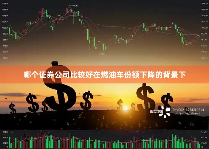 哪个证券公司比较好在燃油车份额下降的背景下
