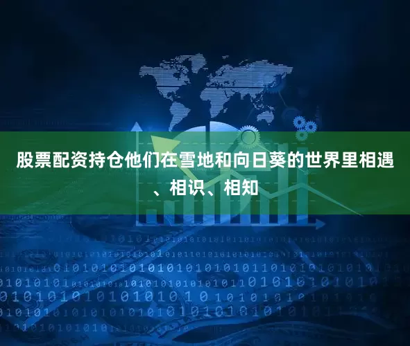 股票配资持仓他们在雪地和向日葵的世界里相遇、相识、相知